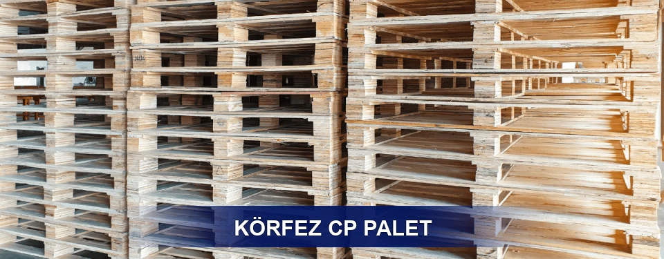Körfez Standart Tipler